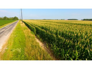 TRACT 3 - ILLINOIS LAND AUCTION - 4,810+/- ACRES OFFERED IN 85 TRACTS IN FRANKLIN, WILLIAMSON, HAMILTON & SALINE COUNTIES, ILLINOIS
